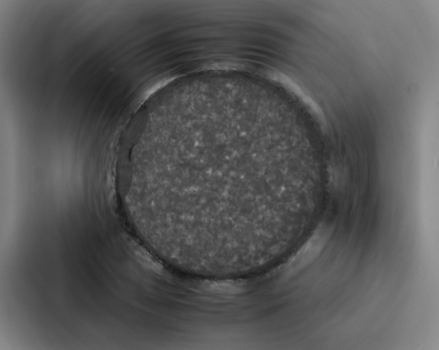X0000086921025200705141718