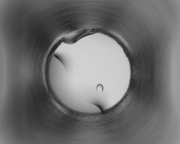 X0000086921026200705141718