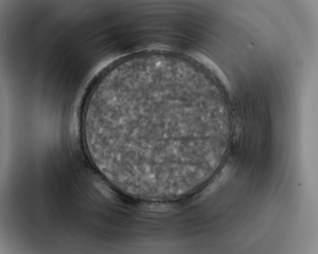 X0000086921027200705141718