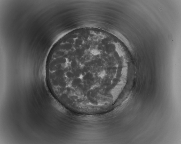 X0000086921028200705141718
