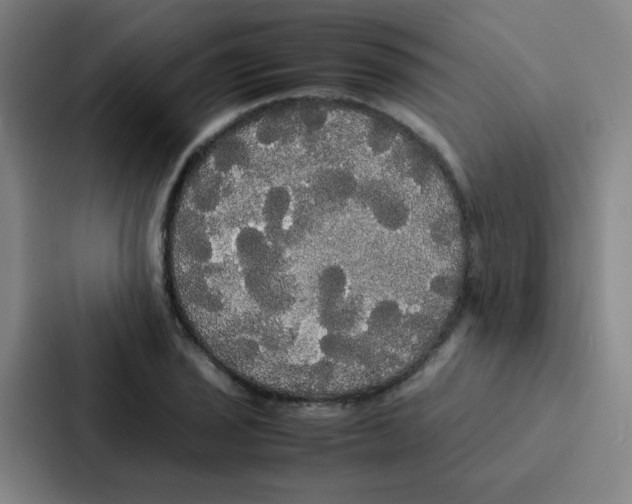 X0000086921029200705141718