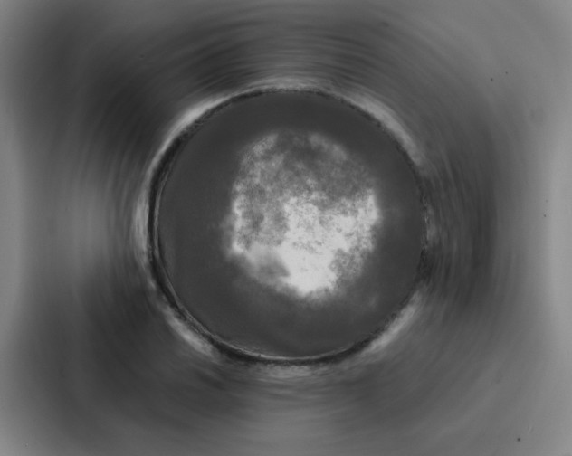 X0000086921030200705141718