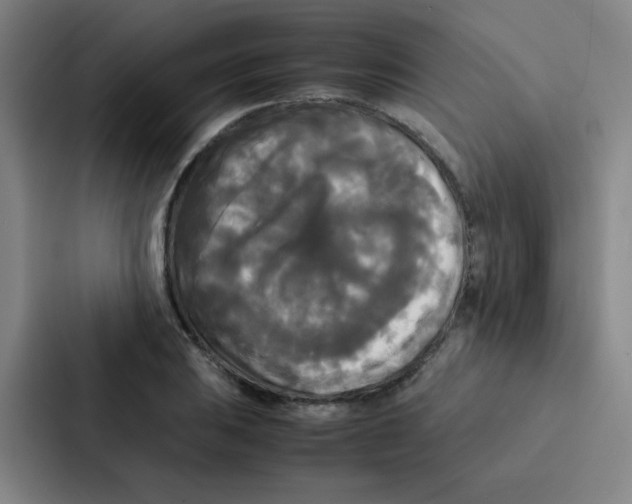 X0000086921031200705141718