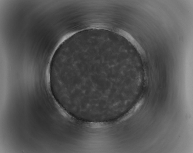 X0000086921032200705141718