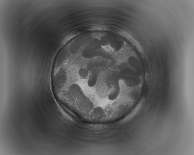 X0000086921033200705141718