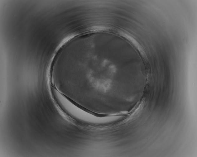 X0000086921034200705141718