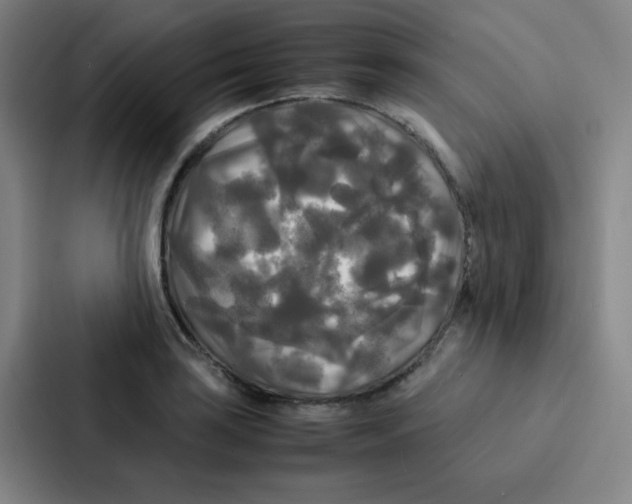 X0000086921035200705141718