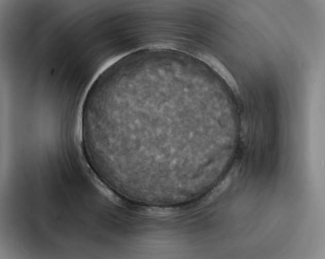 X0000086921036200705141718