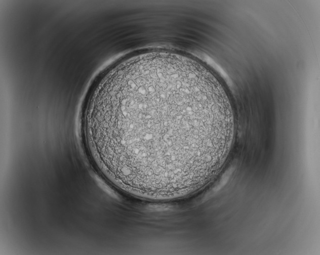 X0000086921037200705141718