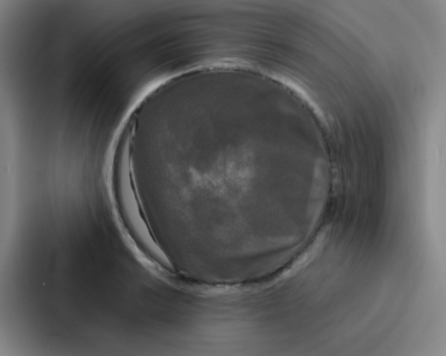 X0000086921038200705141718