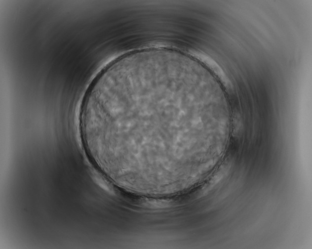 X0000086921039200705141718