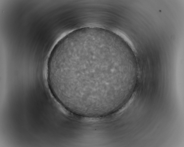 X0000086921040200705141718