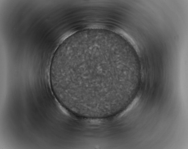 X0000086921041200705141718