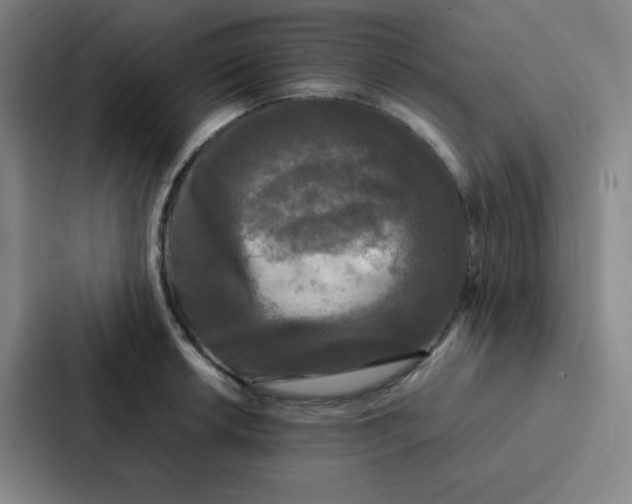 X0000086921042200705141718