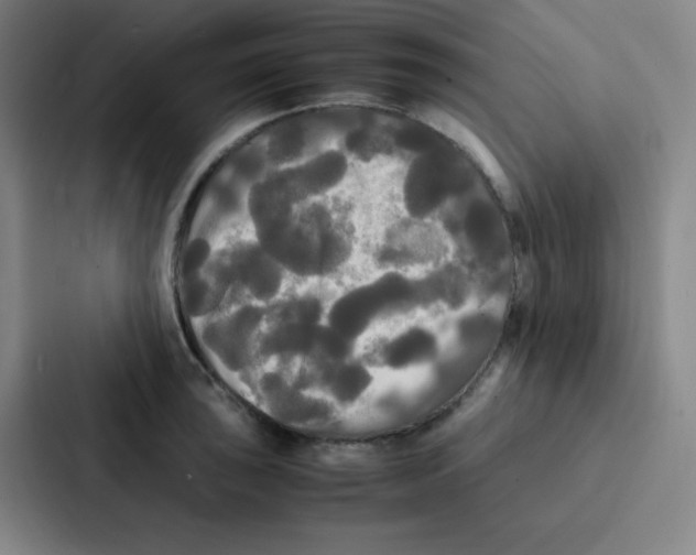 X0000086921043200705141718
