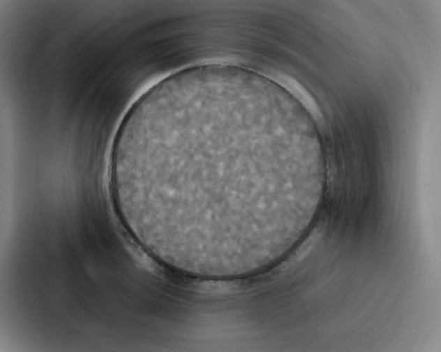 X0000086921044200705141718
