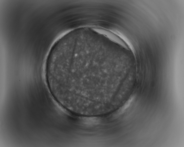 X0000086921045200705141718