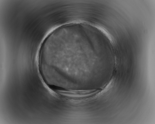 X0000086921046200705141718