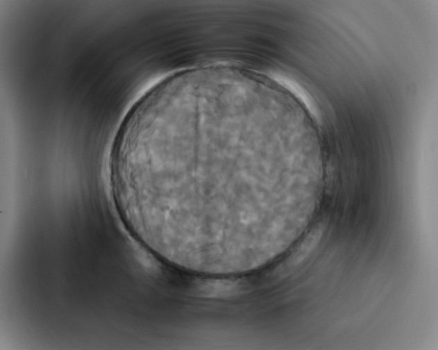 X0000086921047200705141718