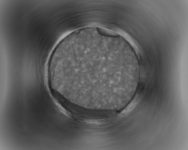 X0000086921048200705141718