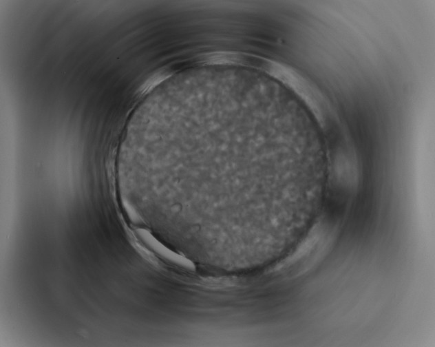 X0000086921049200705141718