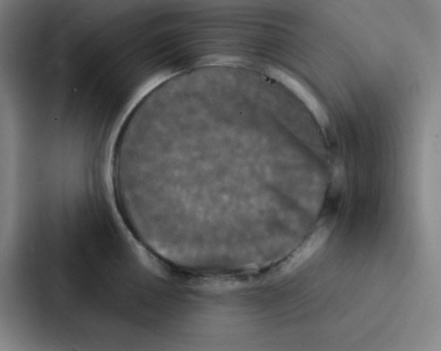 X0000086921050200705141718