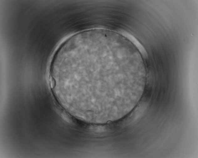 X0000086921051200705141718