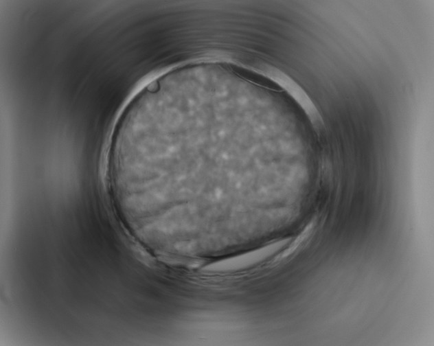 X0000086921052200705141718