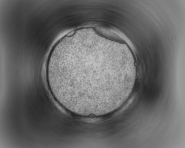 X0000086921053200705141718