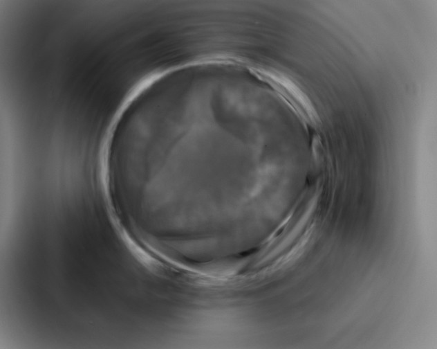 X0000086921054200705141718