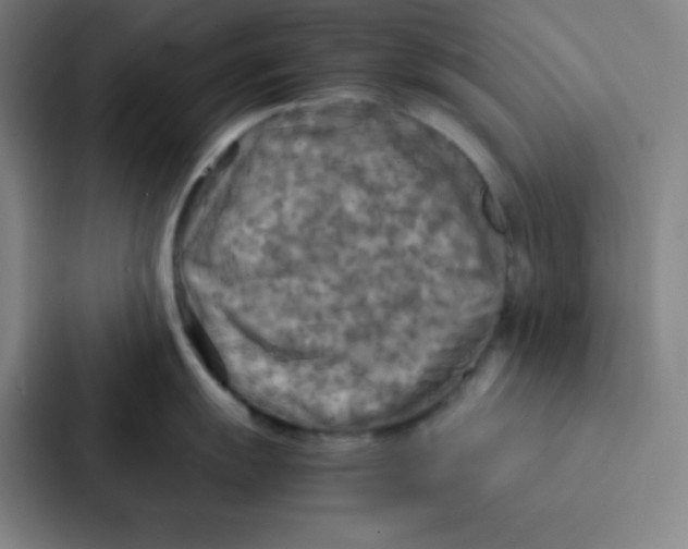 X0000086921055200705141718