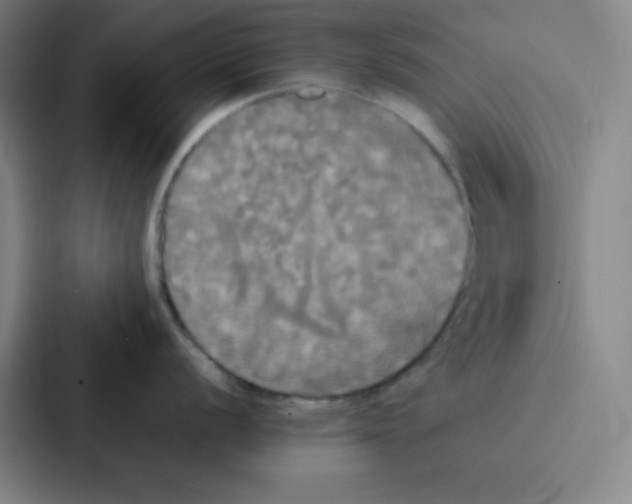 X0000086921056200705141718