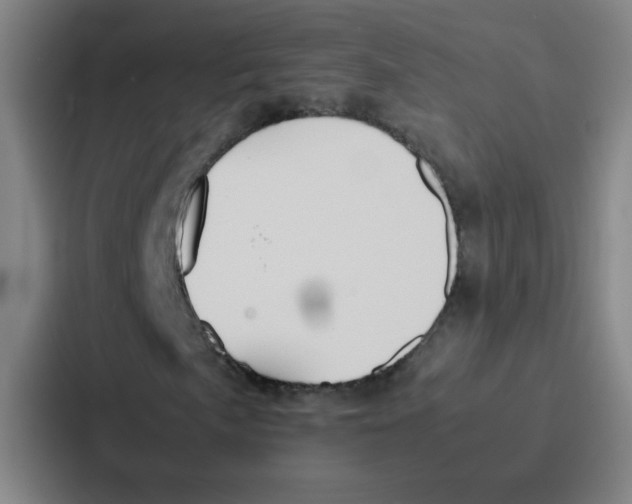 X0000086921057200705141718