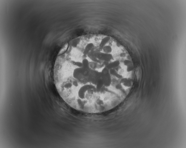 X0000086921059200705141718