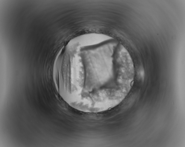 X0000086921060200705141718