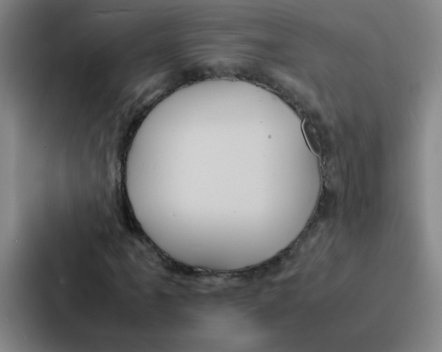X0000086921061200705141718