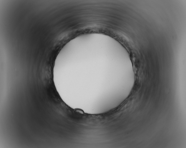 X0000086921062200705141718