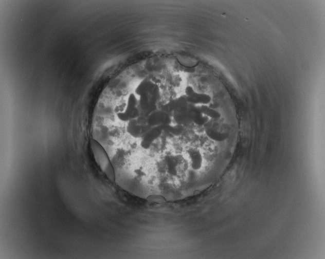 X0000086921063200705141718
