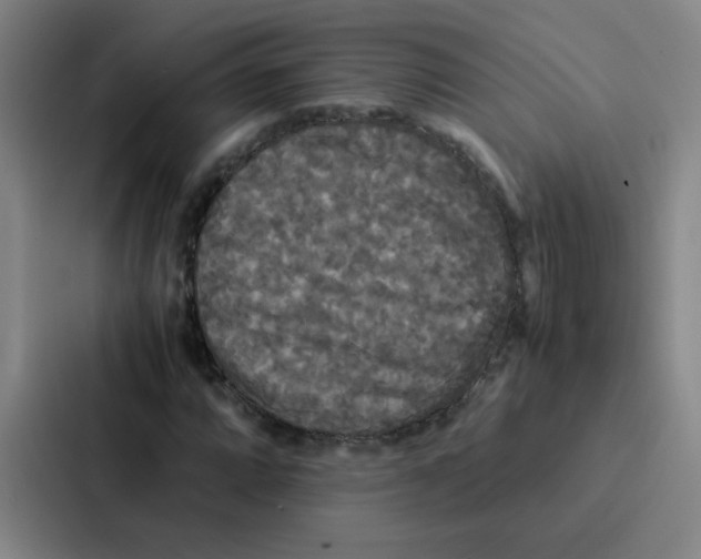 X0000086921064200705141718