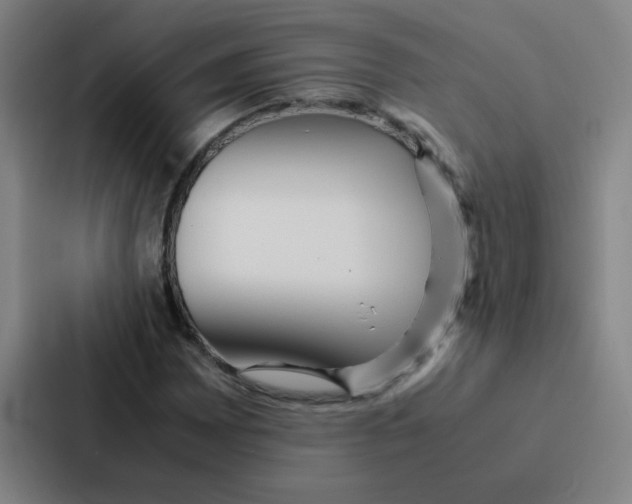X0000086921065200705141718