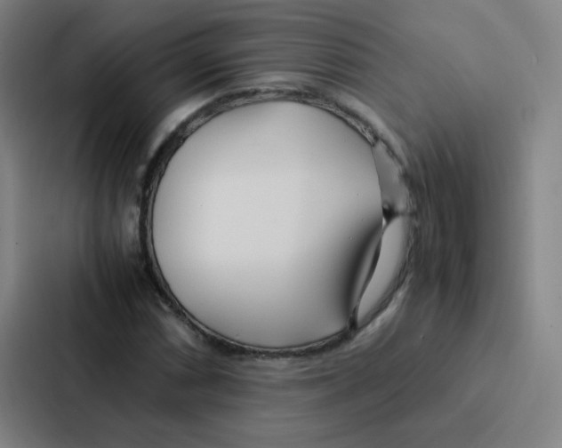 X0000086921066200705141718