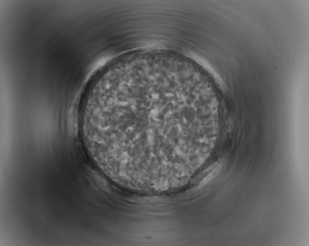 X0000086921067200705141718