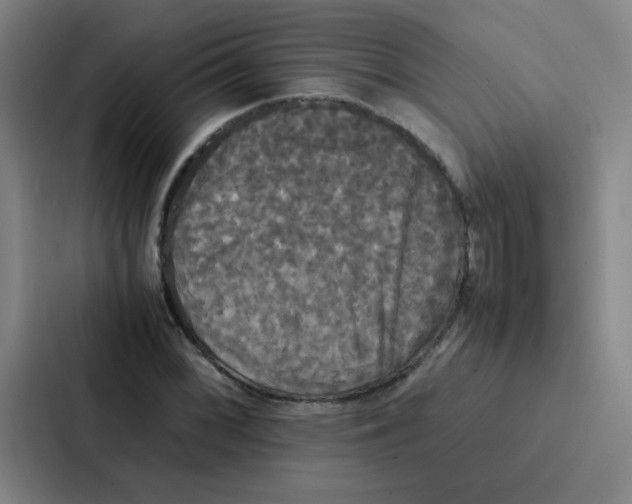 X0000086921068200705141718