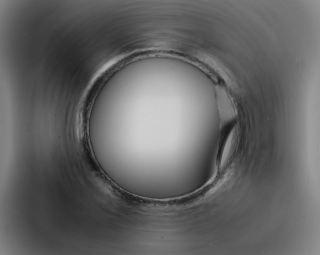 X0000086921069200705141718