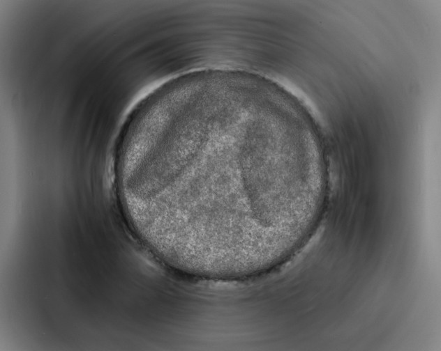X0000086921070200705141718