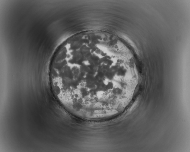 X0000086921071200705141718