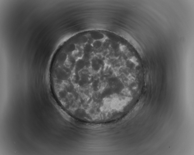 X0000086921072200705141718