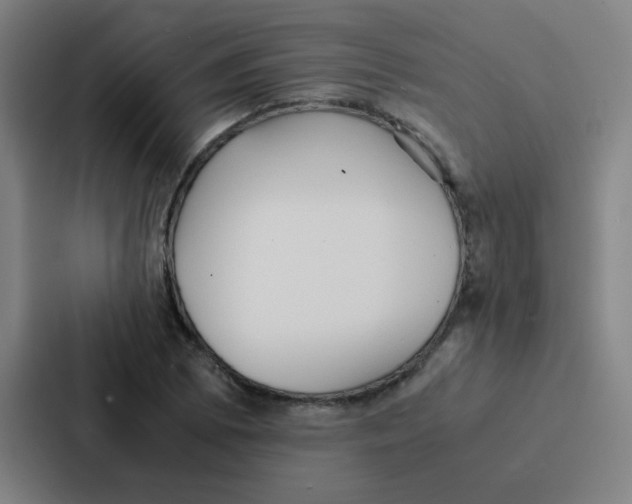 X0000086921073200705141718