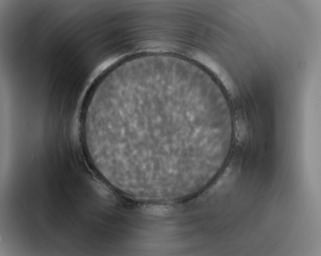 X0000086921074200705141718