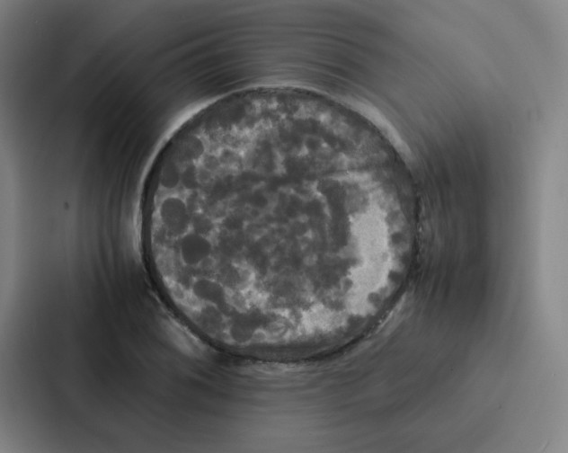 X0000086921076200705141718